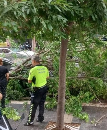 162b7f71_be51_48f8_8919_1f2e33c4cf16