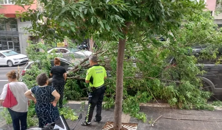 162b7f71_be51_48f8_8919_1f2e33c4cf16