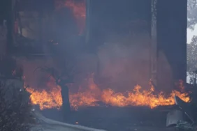 a_a_20250811_38801702_38801698_c_a_n_a_k_k_a_l_e_d_e_c_i_k_a_n_o_r_m_a_n_y_a_n_g_i_n_i_n_a_m_u_d_a_h_a_l_e_e_d_i_l_i_y_o_r