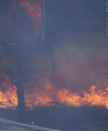 a_a_20250811_38801702_38801698_c_a_n_a_k_k_a_l_e_d_e_c_i_k_a_n_o_r_m_a_n_y_a_n_g_i_n_i_n_a_m_u_d_a_h_a_l_e_e_d_i_l_i_y_o_r