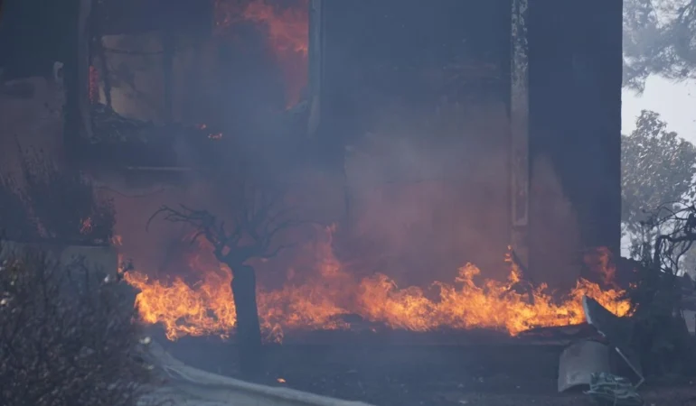 a_a_20250811_38801702_38801698_c_a_n_a_k_k_a_l_e_d_e_c_i_k_a_n_o_r_m_a_n_y_a_n_g_i_n_i_n_a_m_u_d_a_h_a_l_e_e_d_i_l_i_y_o_r