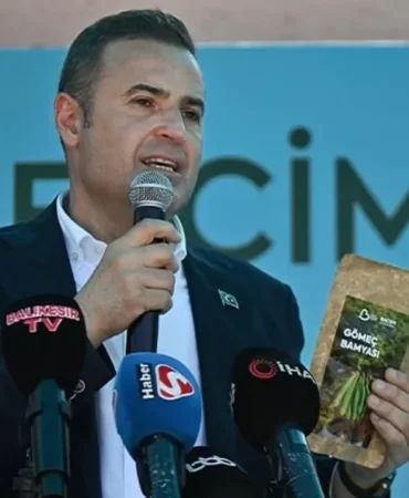 Ahmet Akın Gömeç'te bamya alımı yapacak