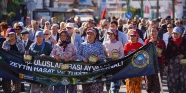 ZEYTİN HASADI, KONSERLER, ZEYTİN VE ZEYTİNYAĞI PAZARI, SÖYLEŞİLER, PANELLER, WORSHOPLAR İLE DOPDOLU BİR FESTİVAL…