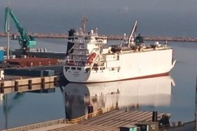 Çömez, Bandırma Limanı’ndaki hayvan tahliyesini gündeme taşıdı