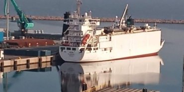 Çömez, Bandırma Limanı’ndaki hayvan tahliyesini gündeme taşıdı