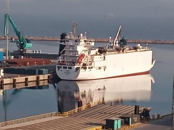 Çömez, Bandırma Limanı’ndaki hayvan tahliyesini gündeme taşıdı