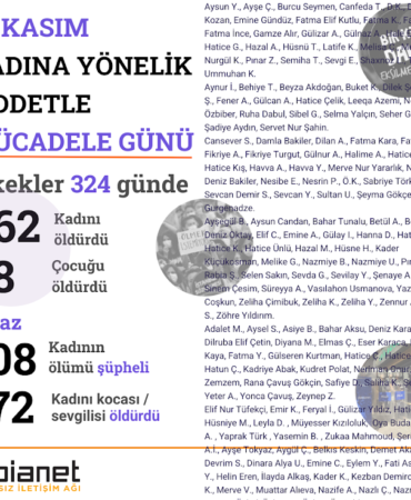 Erkekler 324 günde en az 262 kadını öldürdü, 668 kadını yaraladı