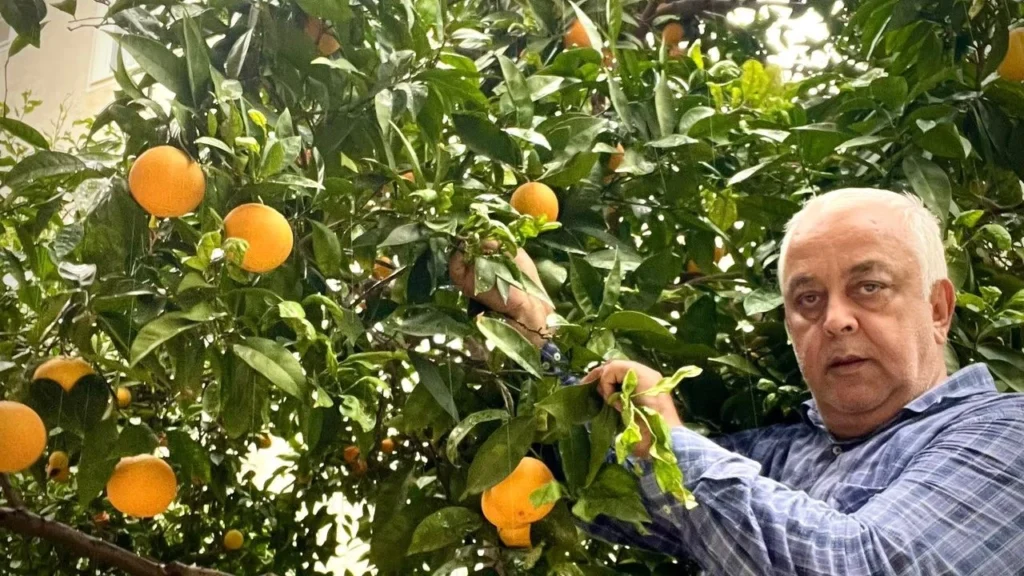 Dalında 50 kuruş, rafında 60 lira!