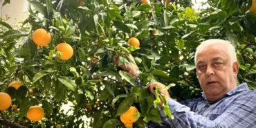 Dalında 50 kuruş, rafında 60 lira!