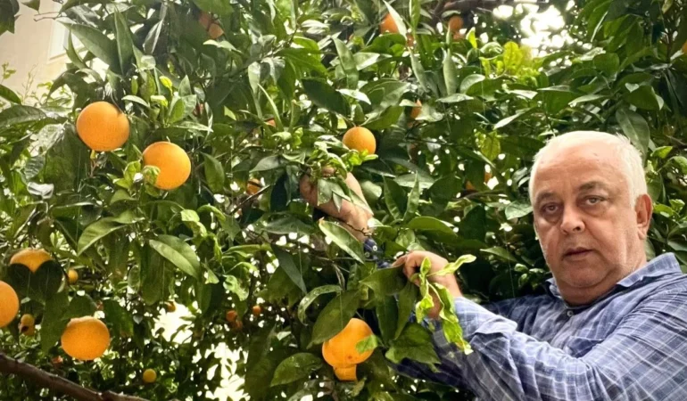 Dalında 50 kuruş, rafında 60 lira!