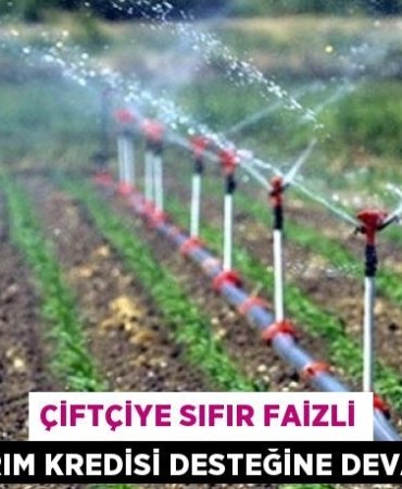 20714227343114230354tasarimli