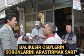 20966232002166830117tasarimli