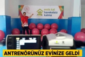 21184261702198521741