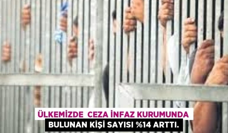 21256289012173329472tasarimli