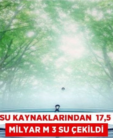 21274219262825231560tasarimli