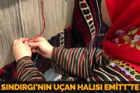 21329296983175523126