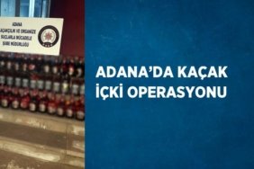 21364307772714723697