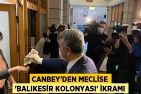 21392271392689129474tasarimli