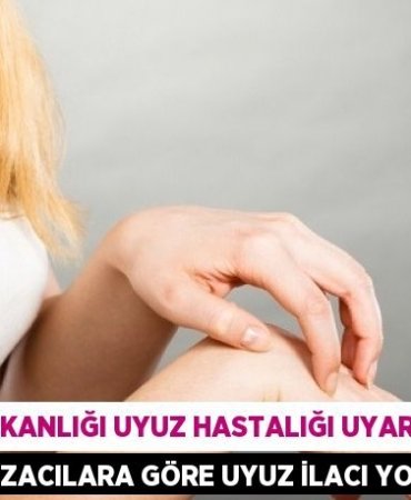 21423275002545724081tasarimli