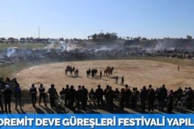 21553235402454322907