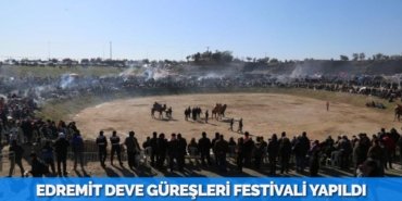 21553235402454322907