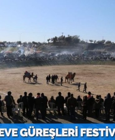 21553235402454322907