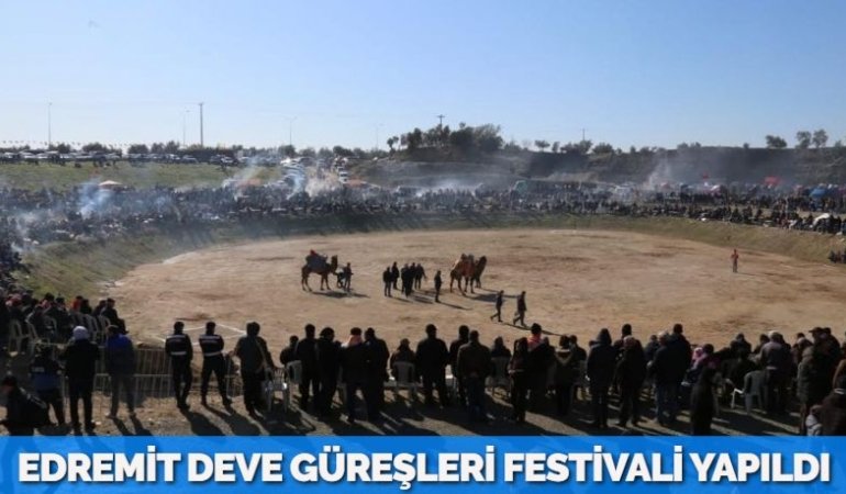 21553235402454322907