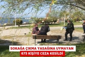 Sokağa çıkma yasağına uymayan 675 kişiye ceza kesildi
