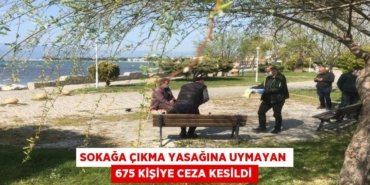 Sokağa çıkma yasağına uymayan 675 kişiye ceza kesildi