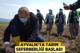 22066242742386629759tasarimli