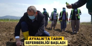 22066242742386629759tasarimli