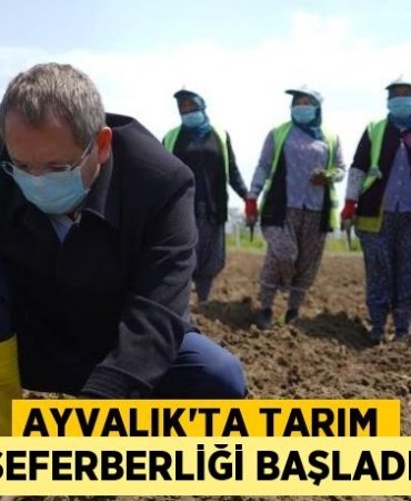 22066242742386629759tasarimli