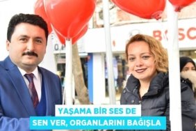 22300207492068522870tasarimli