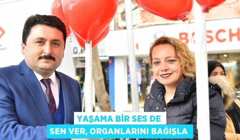 22300207492068522870tasarimli