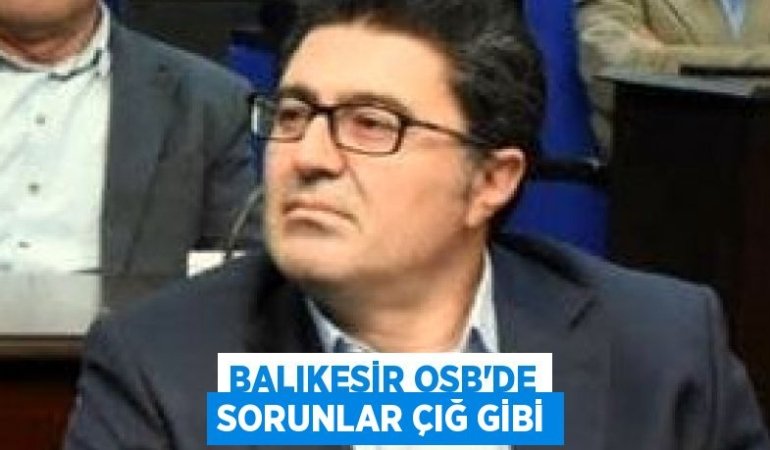 22622291862931426655tasarimli