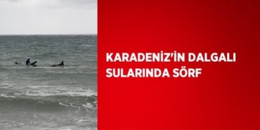 22677265112225231406