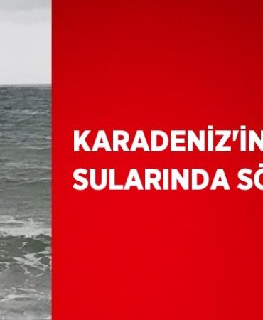 22677265112225231406