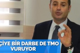 22718231682582330048