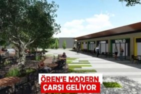 22786302642288028231tasarimli