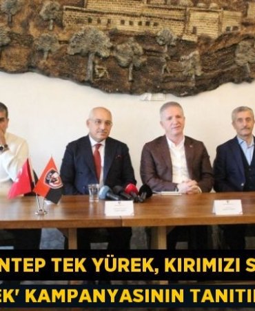 23050245502929330074tasarimli