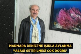 23193306172958125685tasarimli