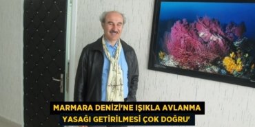 23193306172958125685tasarimli