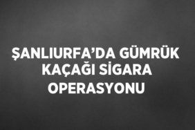 23304266683053031067tasarimli