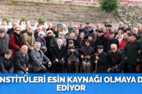 23355314892166224537