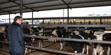 BİGADİÇ PROTOKOLÜ, KAPALI HAYVAN PAZARINDA