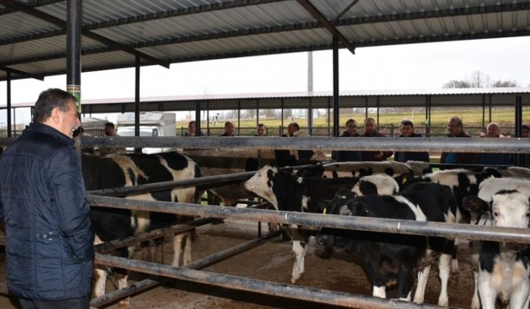 BİGADİÇ PROTOKOLÜ, KAPALI HAYVAN PAZARINDA