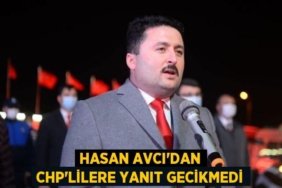 23379242372955530155tasarimli