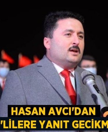 23379242372955530155tasarimli