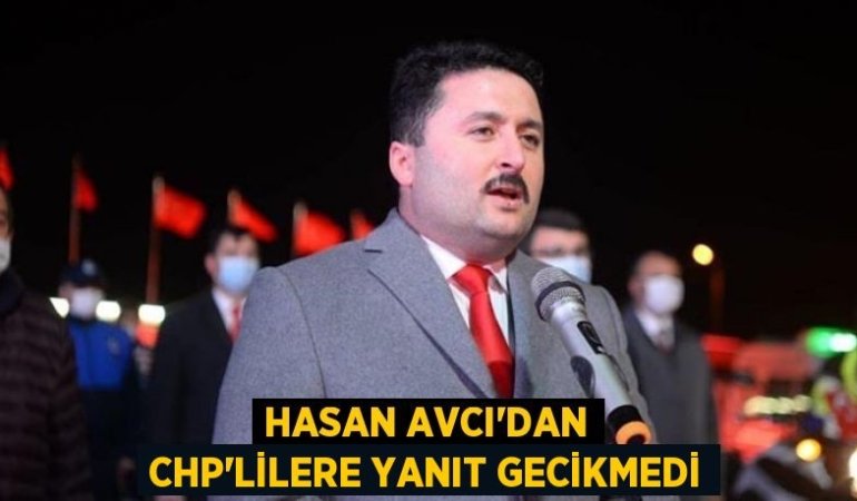 23379242372955530155tasarimli