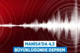 23391293402948231934tasarimli